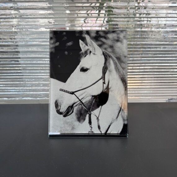Glasbild Pferd